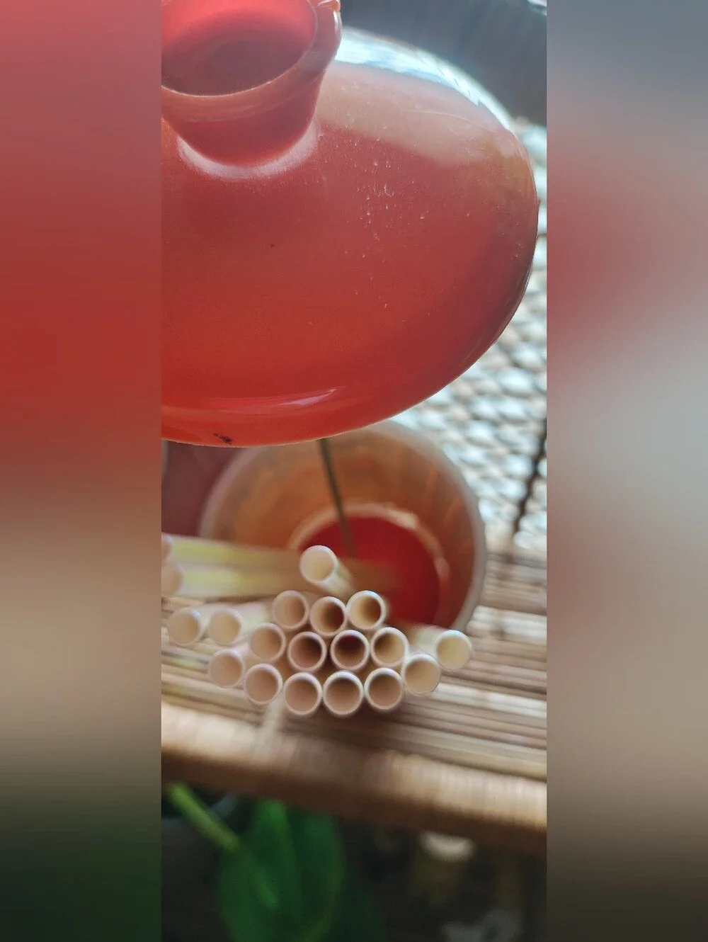 Vintage Lego Japan Plastic Straw Holder | 1970s Harvest Berry